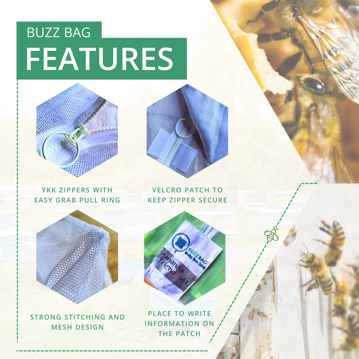 Buzz Bag : Nucleus