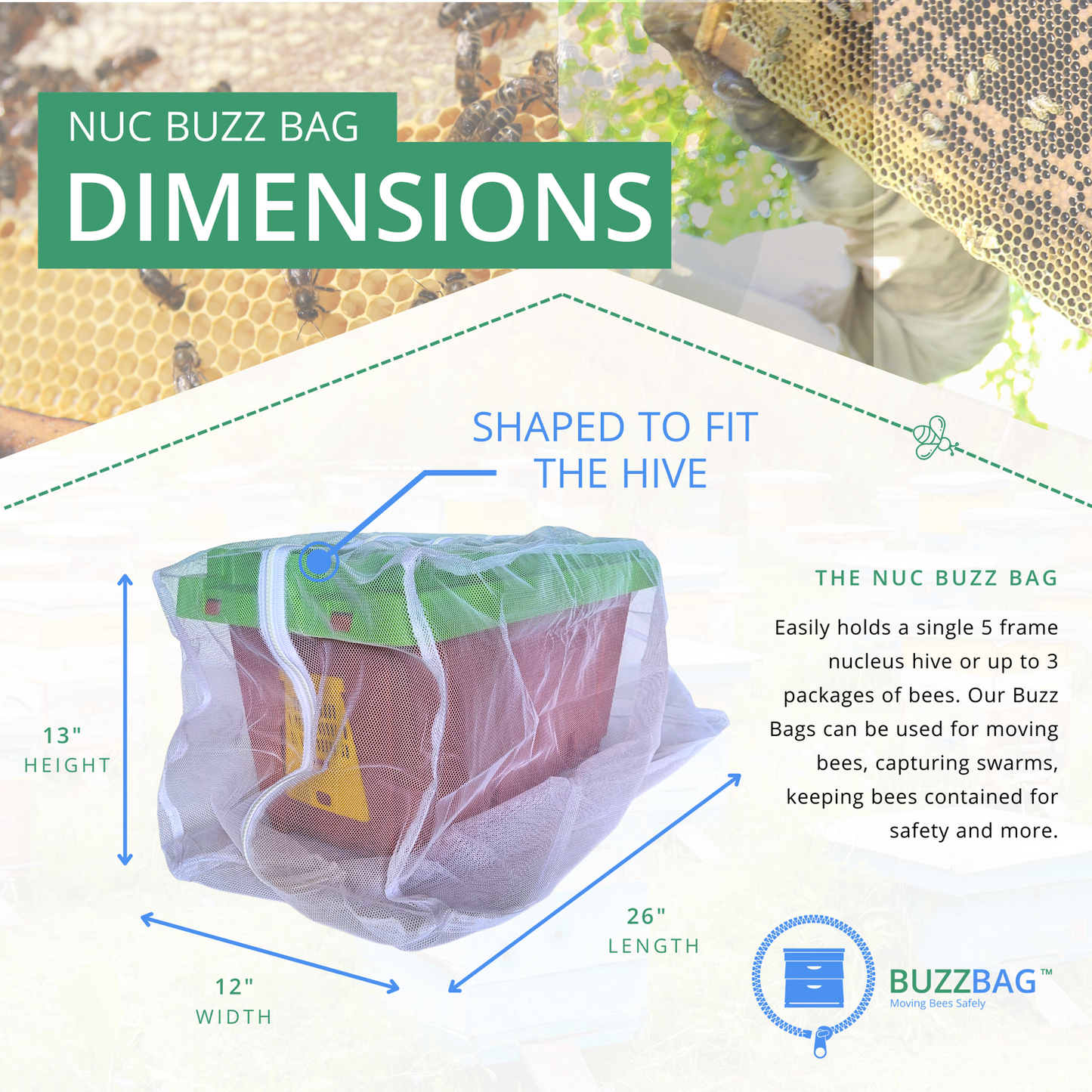 Buzz Bag : Nucleus